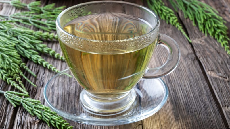 Skrzyp polny właściwości 