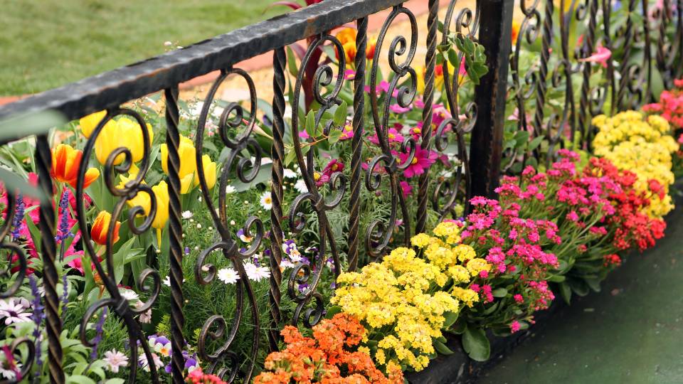 Ogrodzenie aranżacja ogrodu przy płocie – rabaty