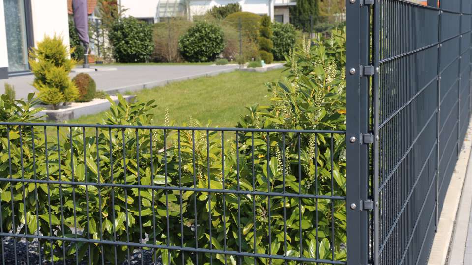 Wzdłuż ogrodzenia aranżacja ogrodu przy płocie