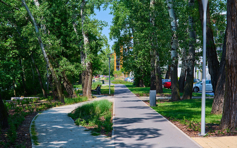 Tereny zielone w pobliżu osiedla/fot. archicom.pl