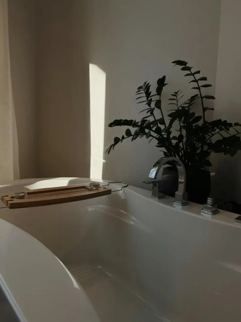 Warto zauważyć, że zamiokulkas może stać w każdej przestrzeni, nie tylko tej typowo wypoczynkowej. Fot. Serge Lessard / pexels.com