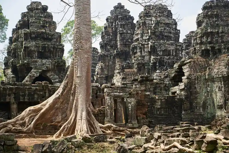 Angkor Wat zarośnięte drzewami, gdy zostało porzucone / fot. freestockcenter freepik.com