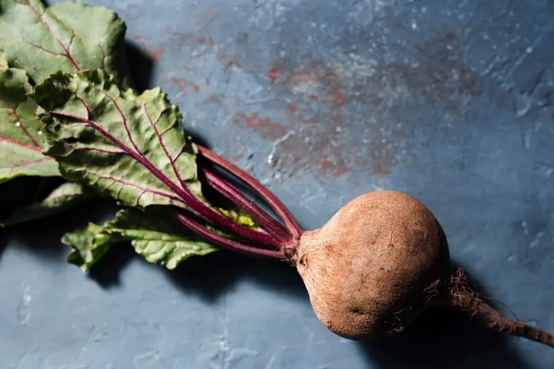 Świeża główka buraka ćwikłowego / fot. freepik freepik.com