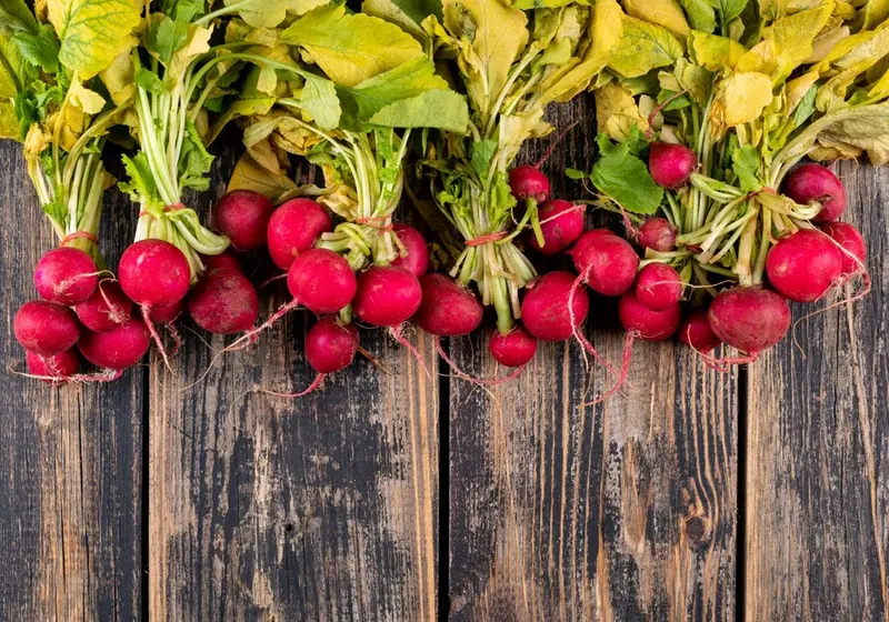 Okrągła, dojrzała, czerwona rzodkiewka, pęczki / fot. freepik freepik.com