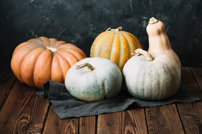 Różne rodzaje dyń, które można wyhodować / fot. freepik freepik.com