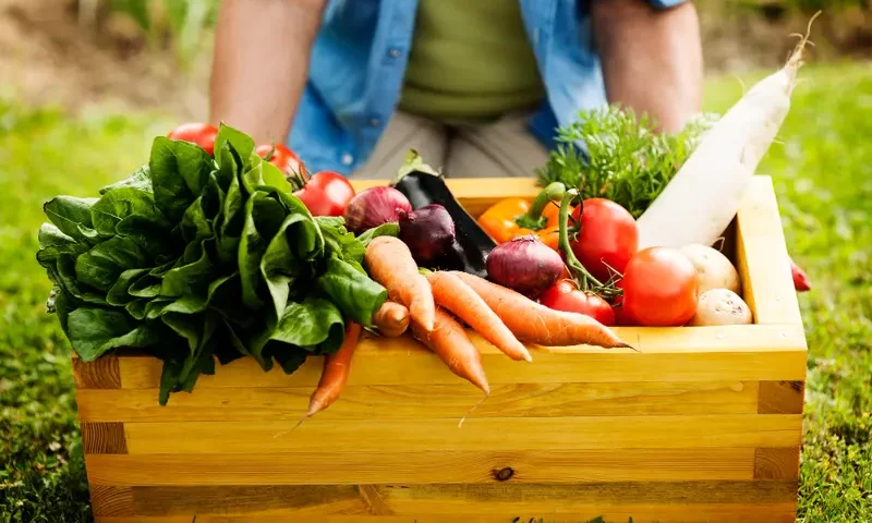 Skrzynka pełna świeżych warzyw, zebranych z ogródka / fot. freepik freepik.com