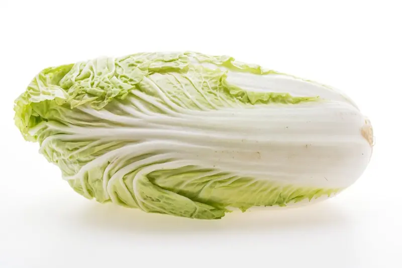 Świeża kapusta pekińska idealna do surówki / fot. mrsiraphol freepik.com