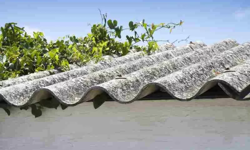 Jak rozpoznać eternit bez azbestu?, fot. Francescoscatena, Vista Create