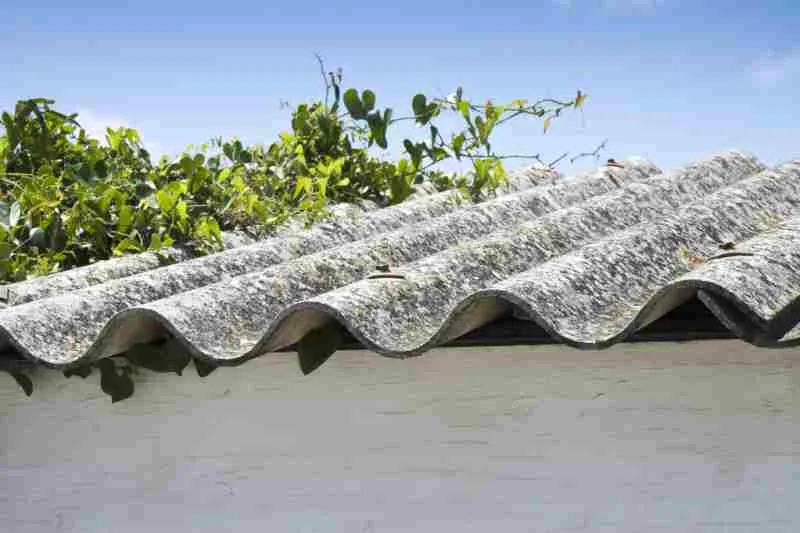 Jak rozpoznać eternit bez azbestu?, fot. Francescoscatena, Vista Create