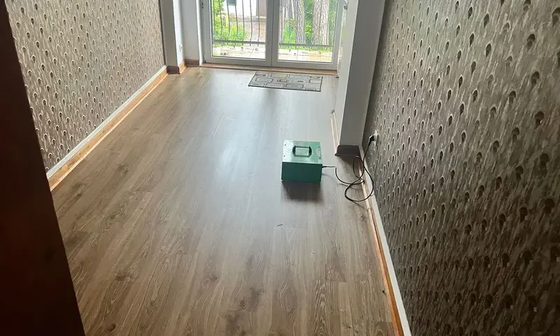 Czy ozonowanie jest bezpieczne dla dzieci i zwierząt? Fakty i mity